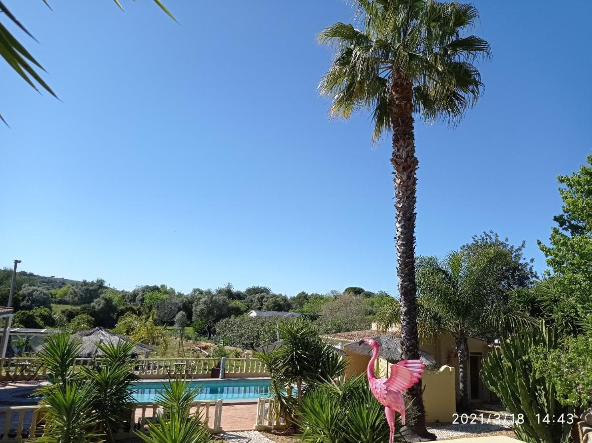 Bed and Breakfast Quinta Pereiro Tropic Garden, Algarve Moncarapacho Esterno foto