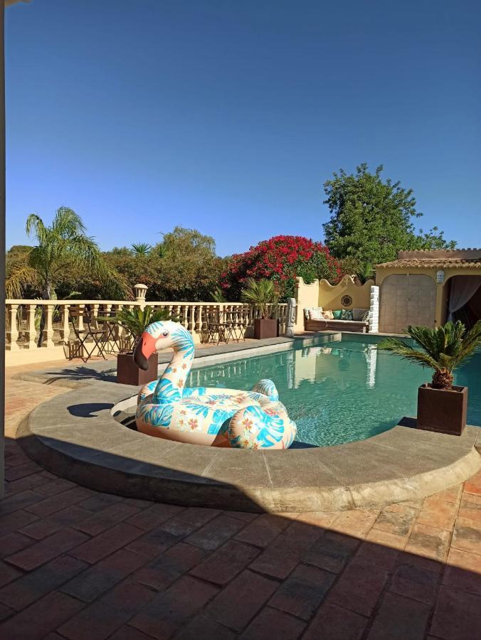 Bed and Breakfast Quinta Pereiro Tropic Garden, Algarve Moncarapacho Esterno foto