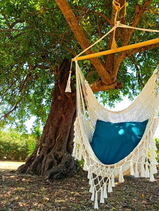 Bed and Breakfast Quinta Pereiro Tropic Garden, Algarve Moncarapacho Esterno foto